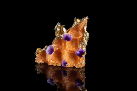 AVATARA is a unique new dining experience in Dubai