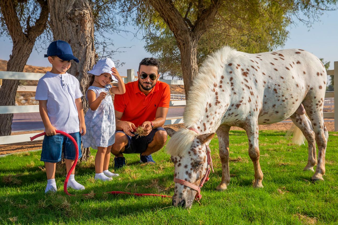 The Ritz-Carlton Ras Al Khaimah Al Wadi Desert