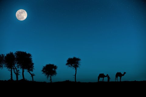 Embrace the outdoors at The Ritz-Carlton Ras Al Khaimah, Al Wadi Desert