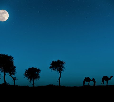 Embrace the outdoors at The Ritz-Carlton Ras Al Khaimah, Al Wadi Desert