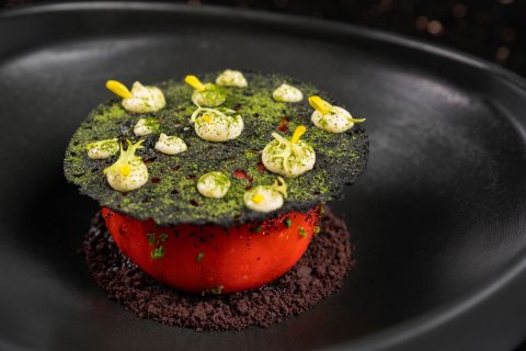 Taikun opens its doors at Hilton Dubai Al Habtoor City