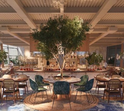 Pan-Asian cuisine gets a new creative twist with the opening of Not Only Fish