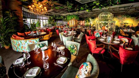 What’s happening this week? 