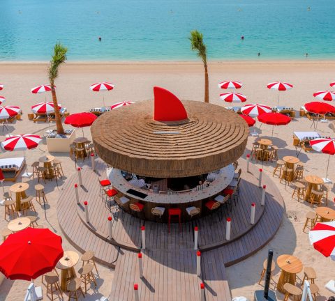 Exciting celebrations await at February 30, Palm West Beach