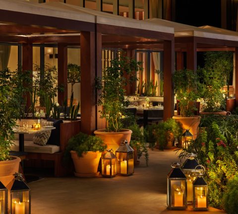 From Wednesday with love, by Alba Terrace