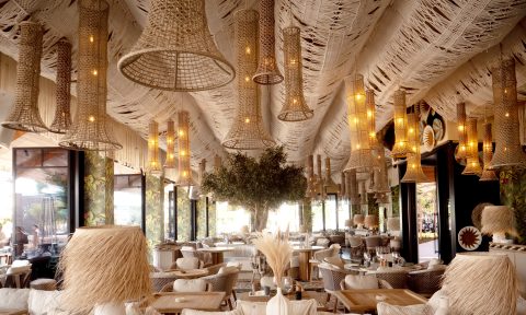 All the happenings to look forward to this January