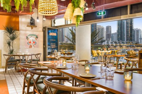 10 spectacular things to do in the UAE in February