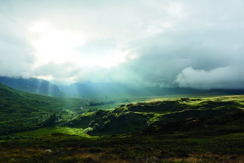 This is food and drink. This is Wales.