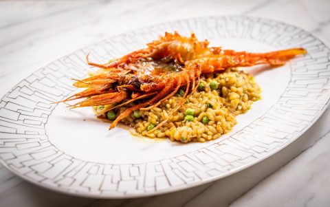 José by Pizarro brings a splendid Spanish tapas experience to the capital