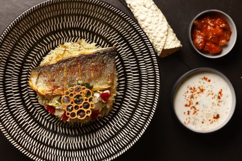 Review: The Spice Tree