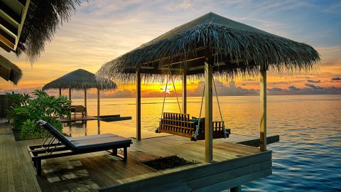 All the things to do on Saudi National Day 2024