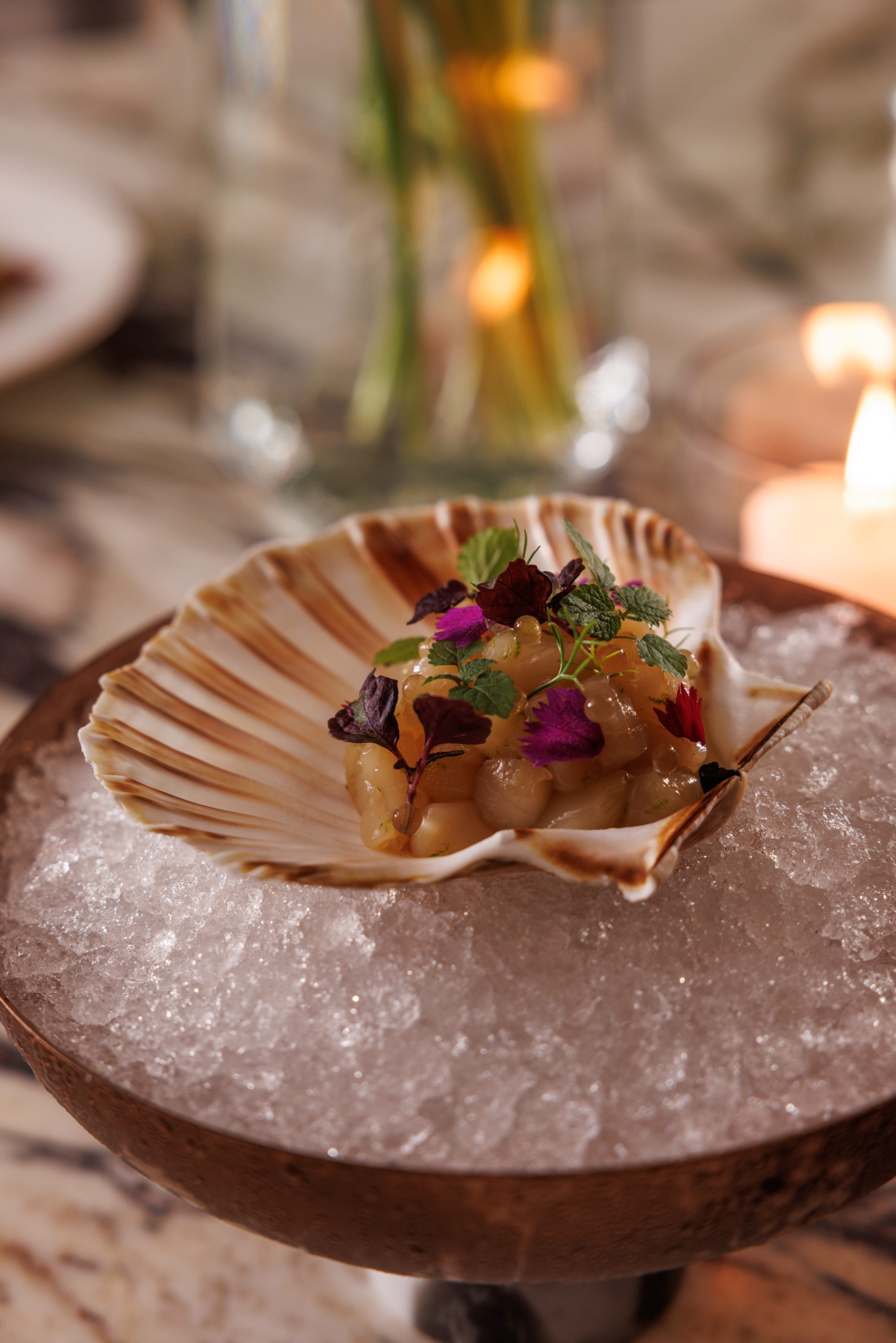 Jazz by City - Scallop Ceviche Jazz by City