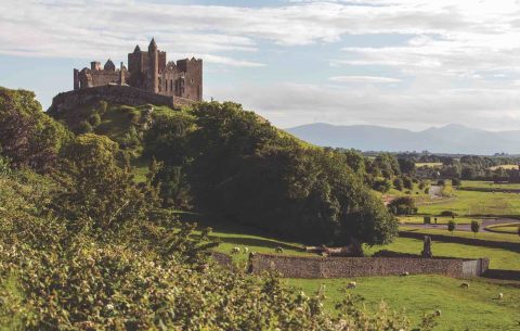 A journey through Ireland’s dairy heartland