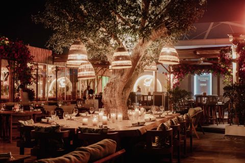 Celebrate the festive season at Surf Club