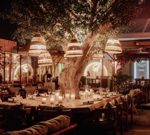 Celebrate the festive season at Surf Club