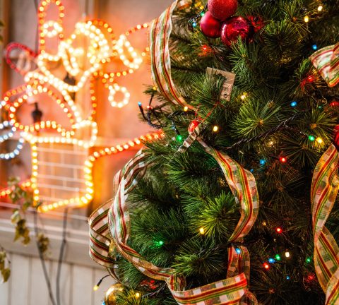 Unmissable Christmas tree lighting ceremonies in the UAE
