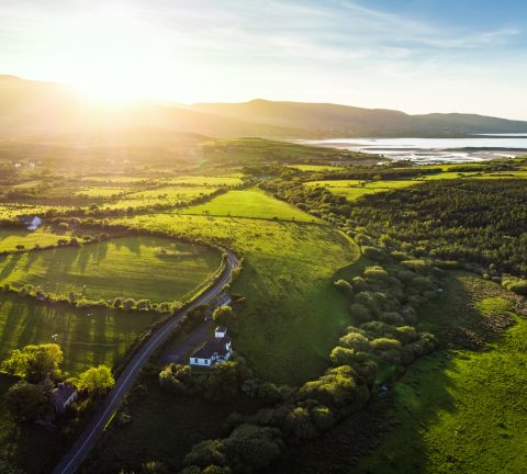 Enjoy the best of Irish food and drink