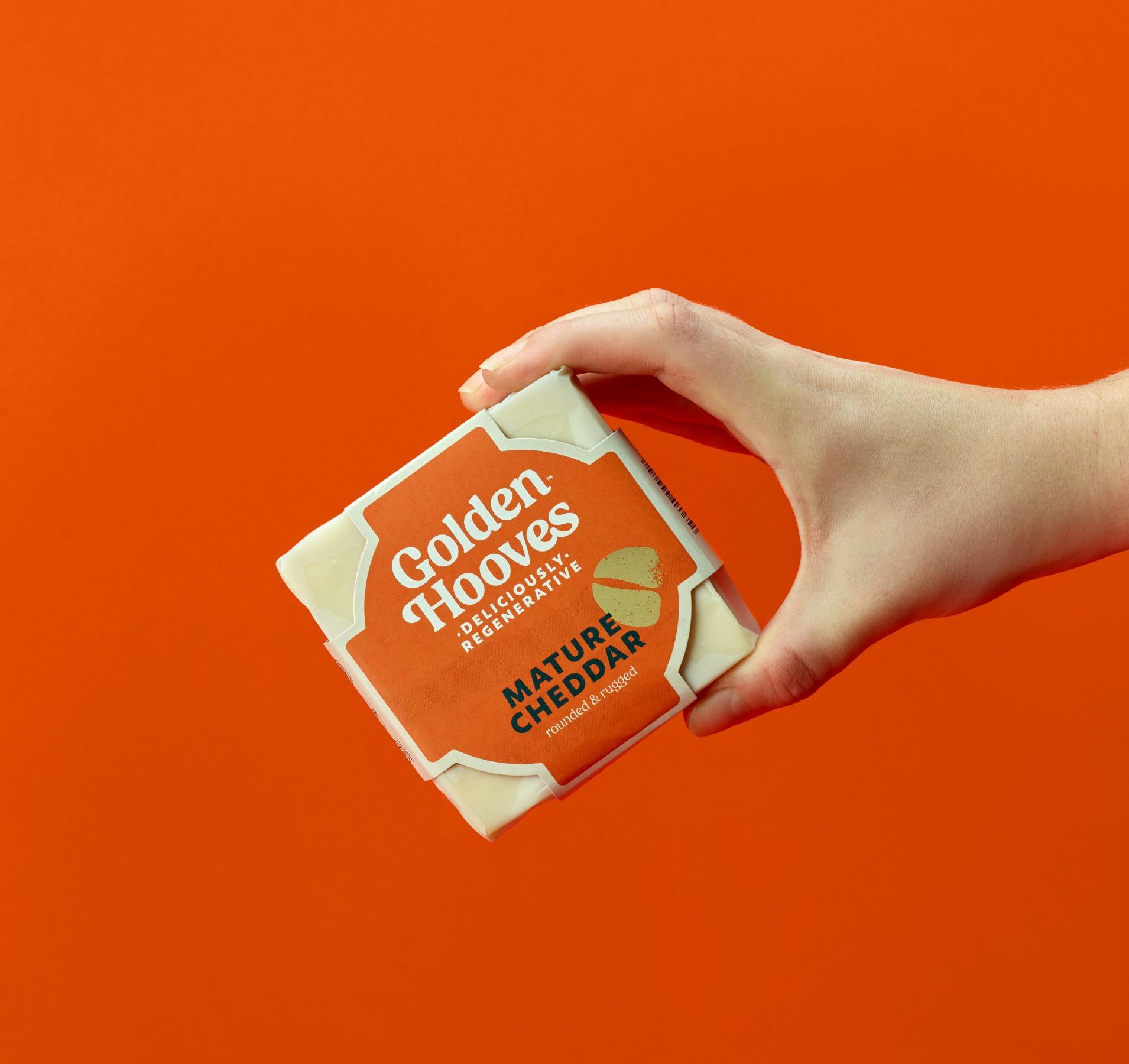 Producto - Golden Hooves - Madury Cheddar