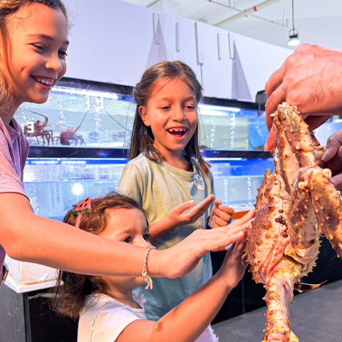 WIN A WATERFRONT MARKET EXPERIENCE, WORTH AED1,000