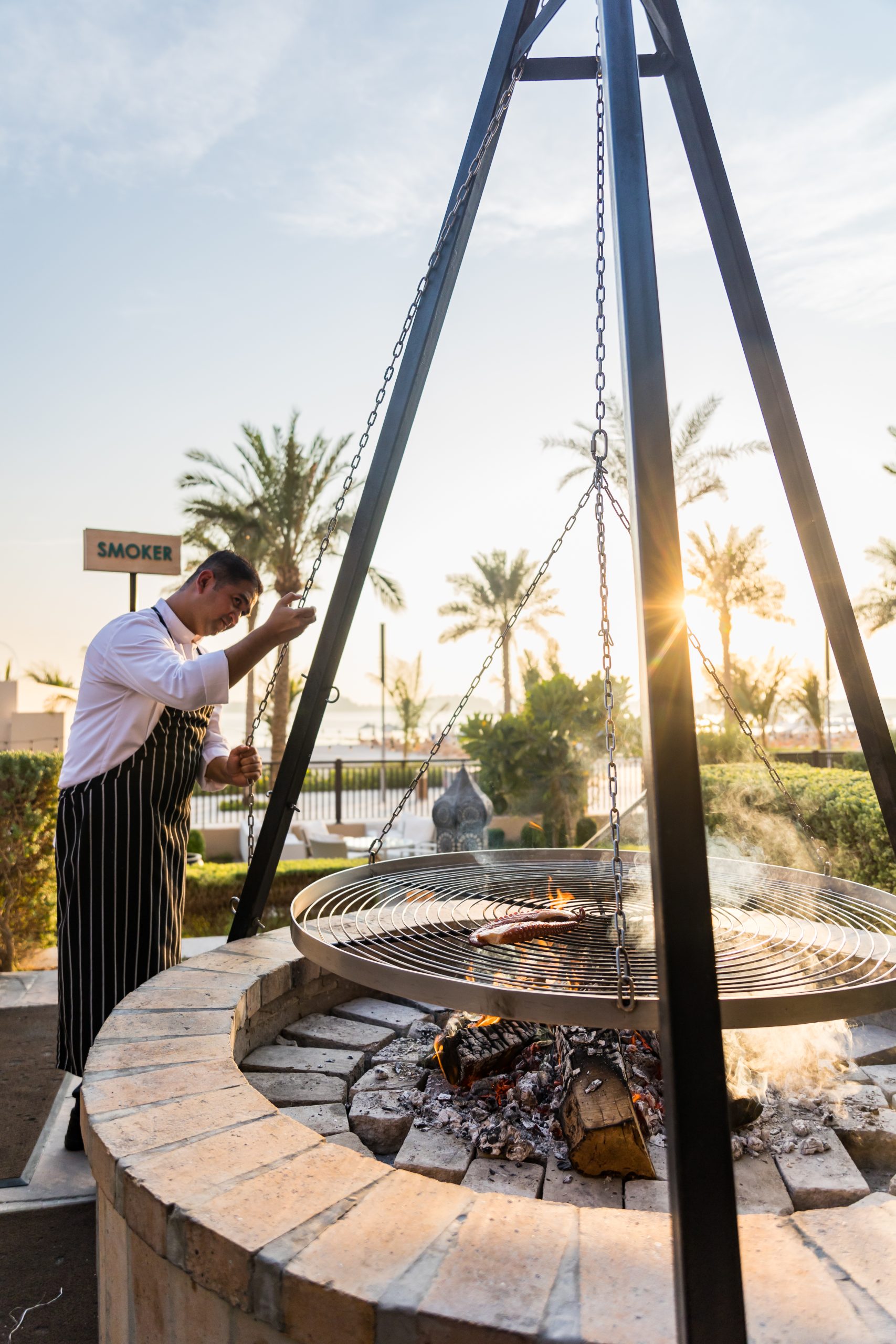 Seagrill Swing Grill BBQ