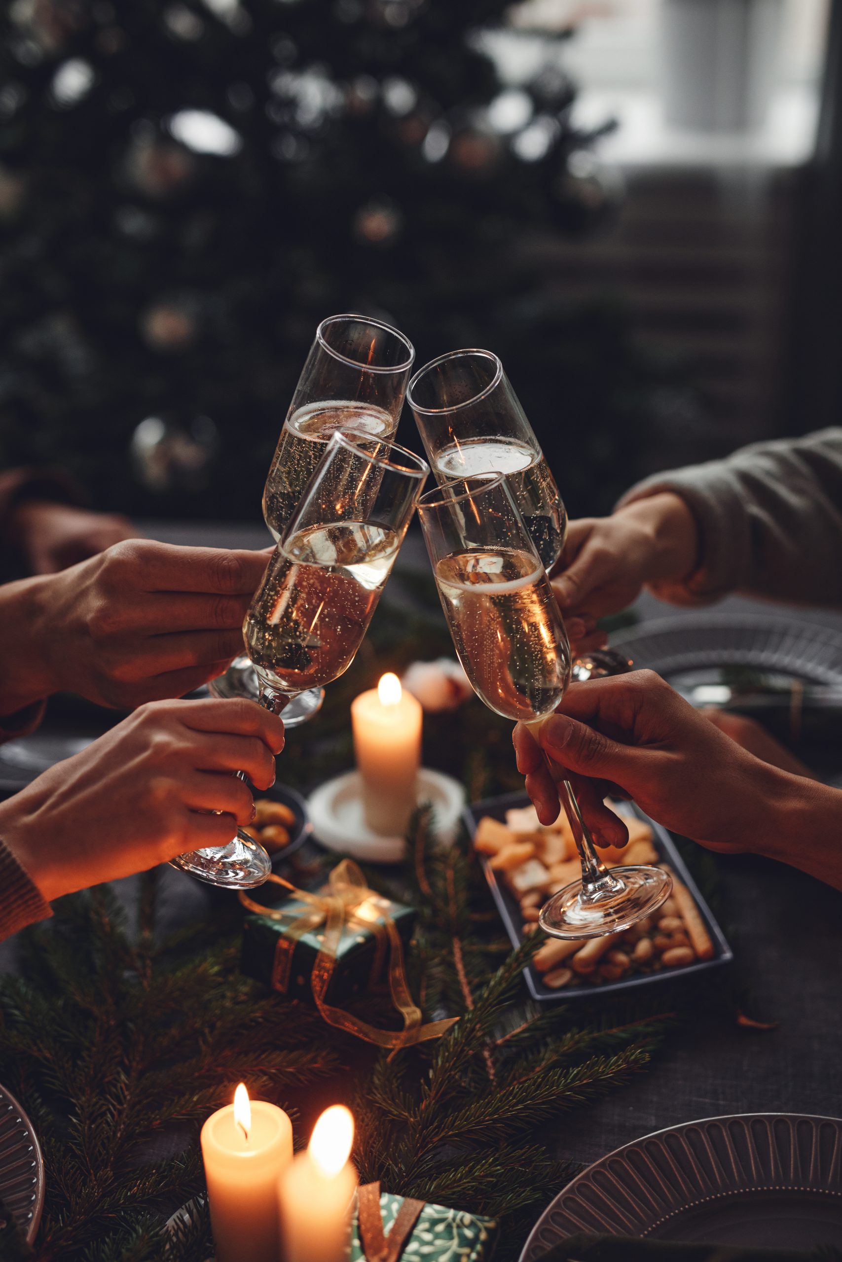 Clinking Glasses at Christmas Dinner