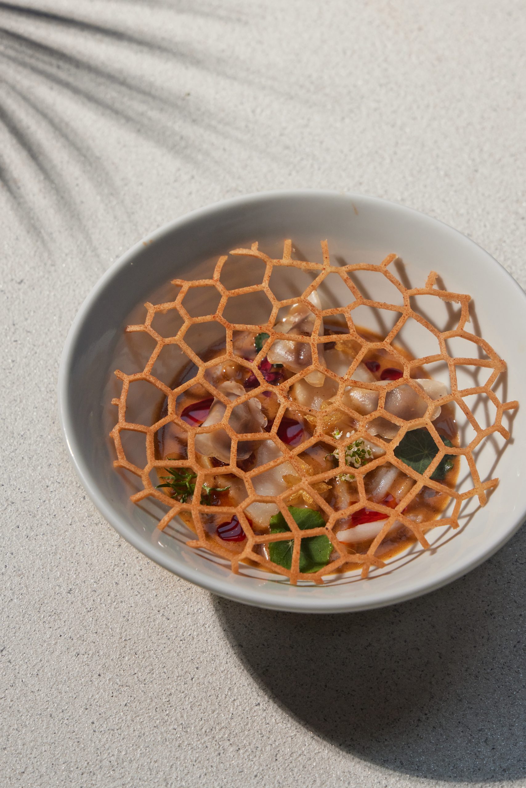 Hot and Sour Wonton Soup