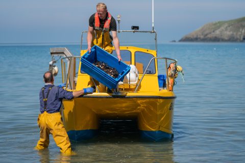 The taste of Wales: Discover Welsh food and drink