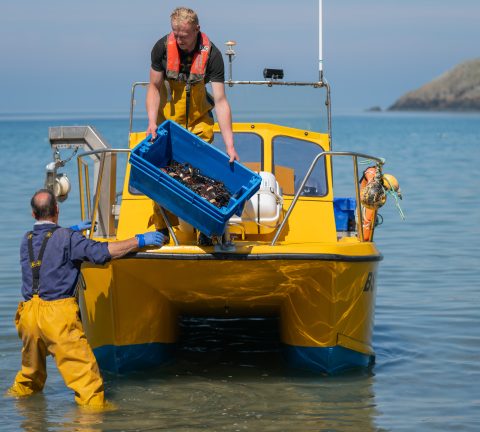 The taste of Wales: Discover Welsh food and drink